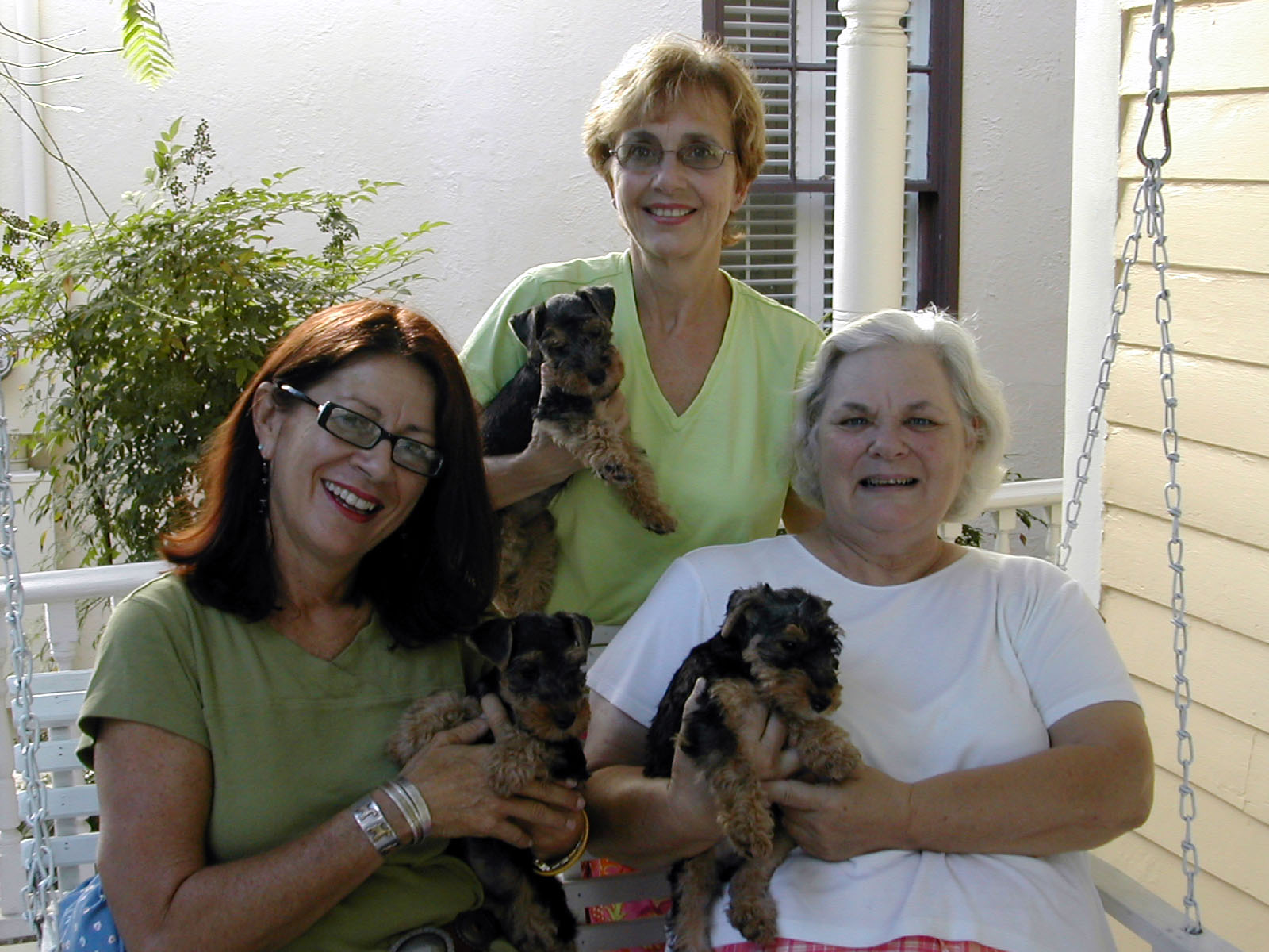 Welsh Terriers