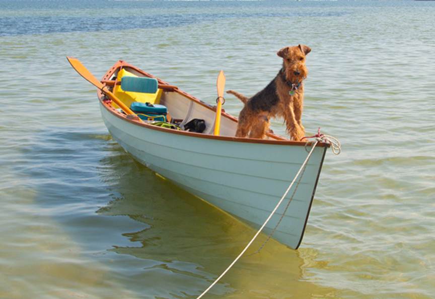 Welsh Terriers