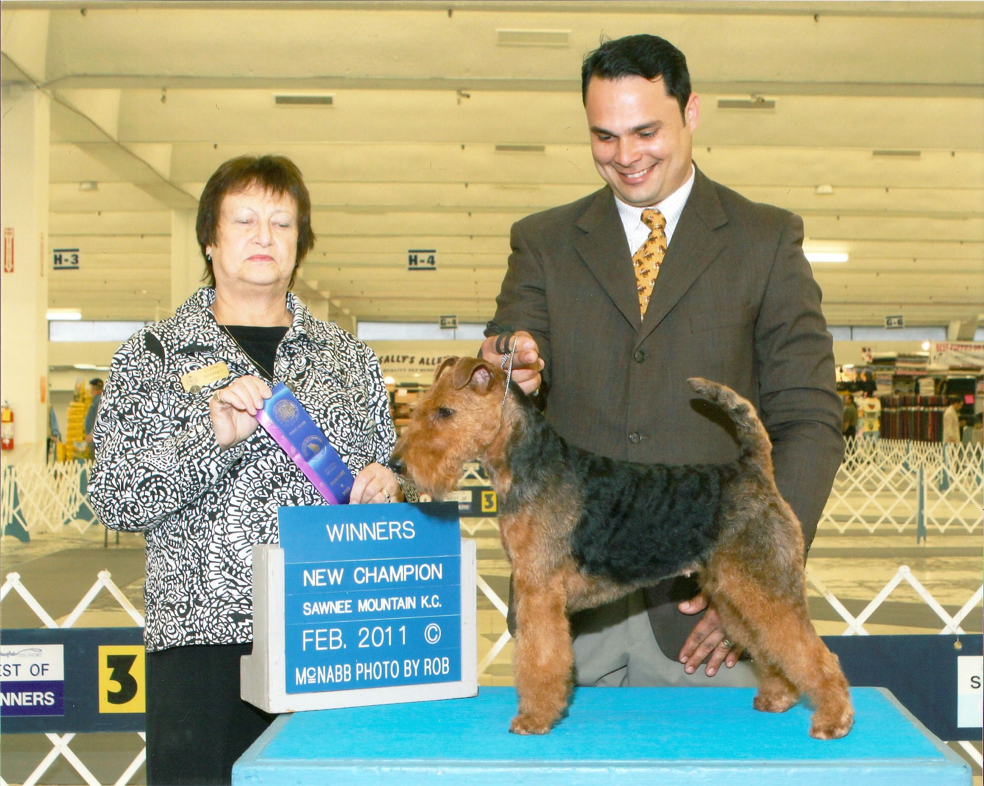 Welsh Terriers