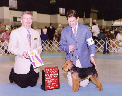 Welsh Terriers