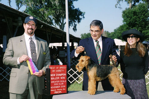 Seaplume Welsh Terriers