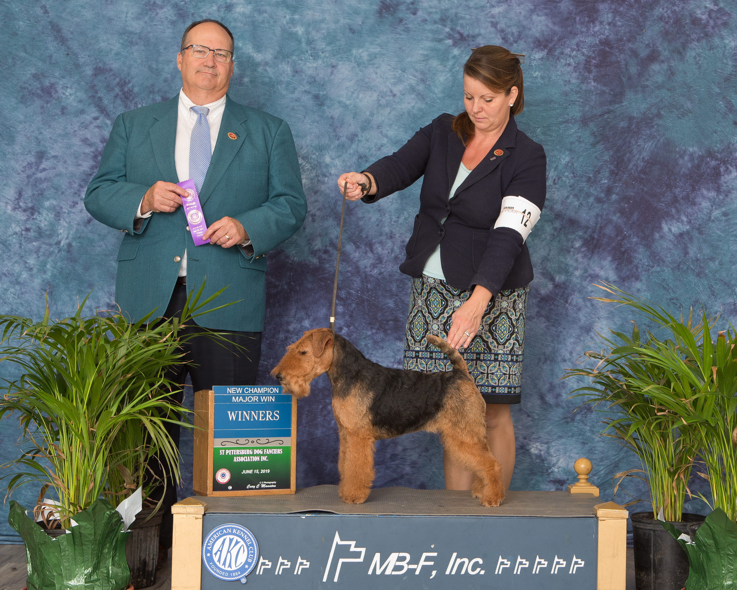 Seaplume Welsh Terriers