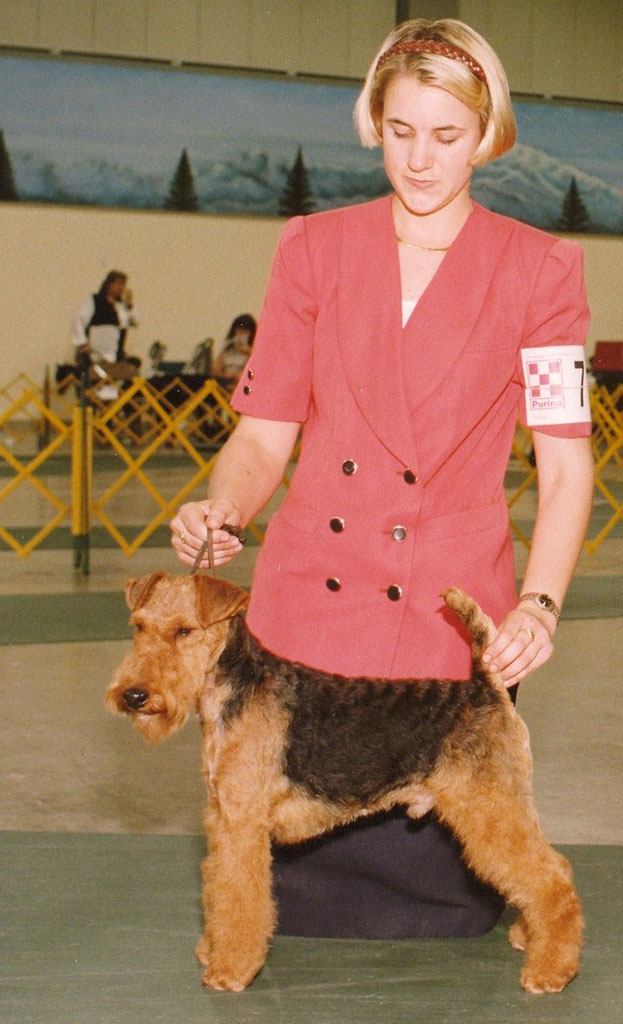 Seaplume Welsh Terriers