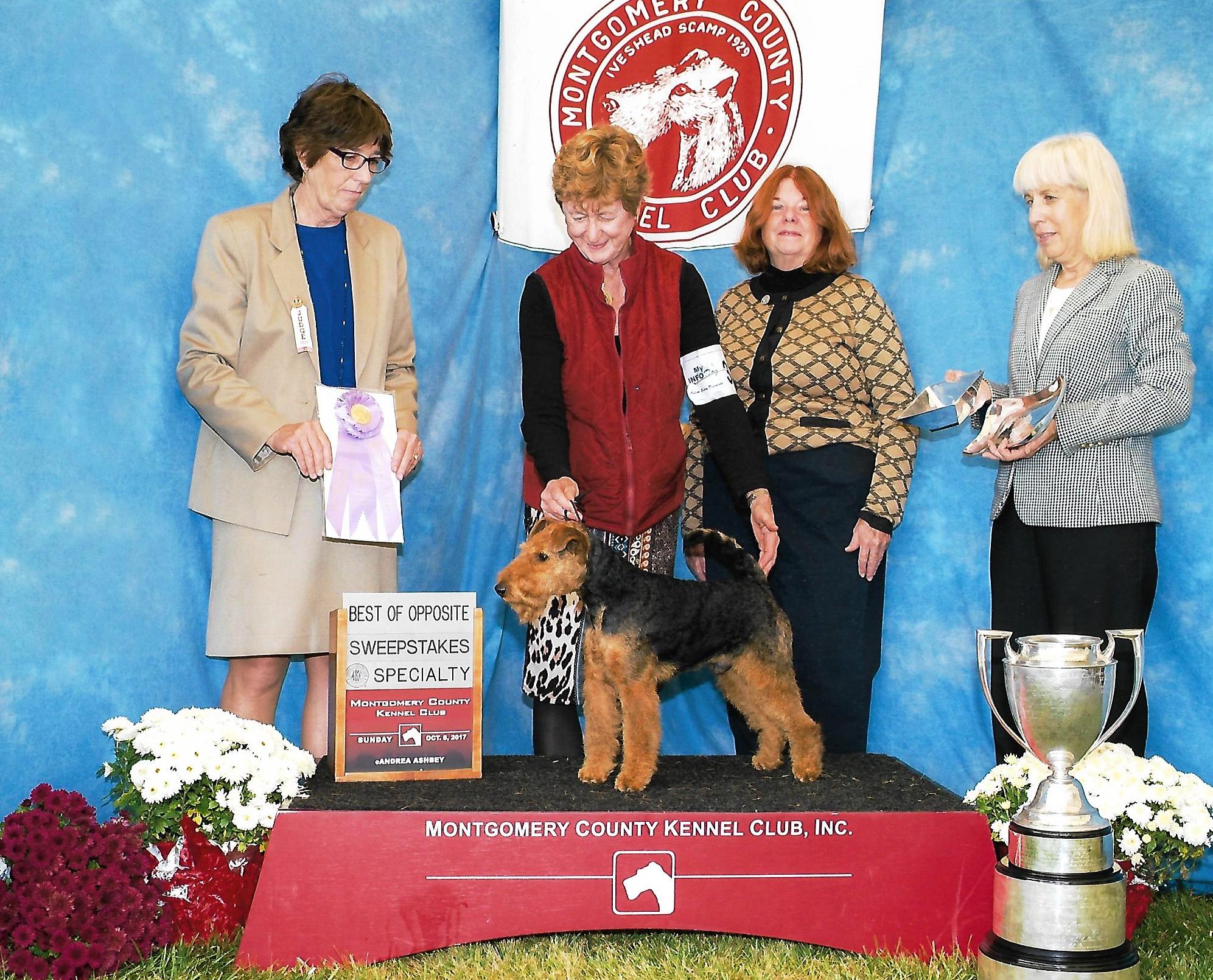 Seaplume Welsh Terriers