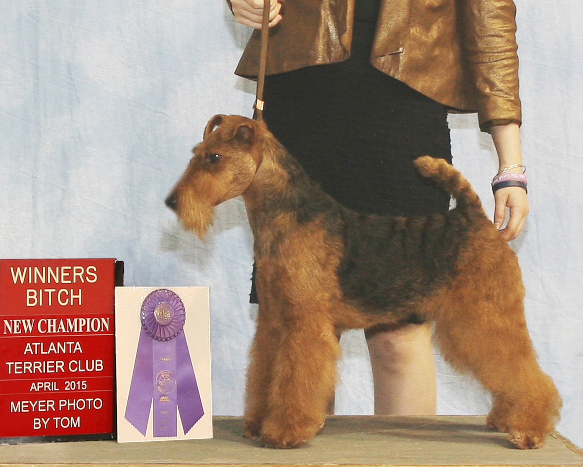 Seaplume Welsh Terriers