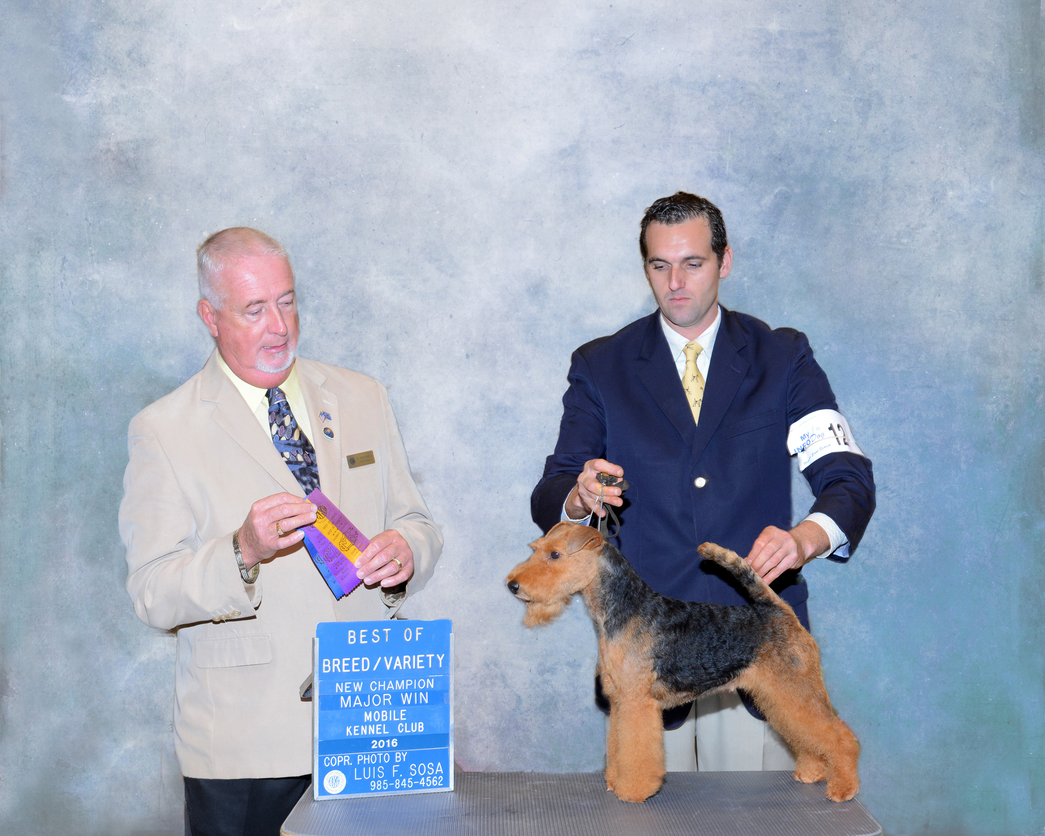 Seaplume Welsh Terriers