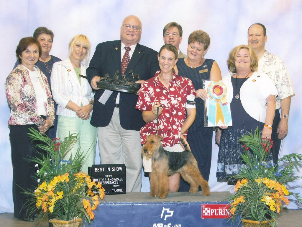 Seaplume Welsh Terriers