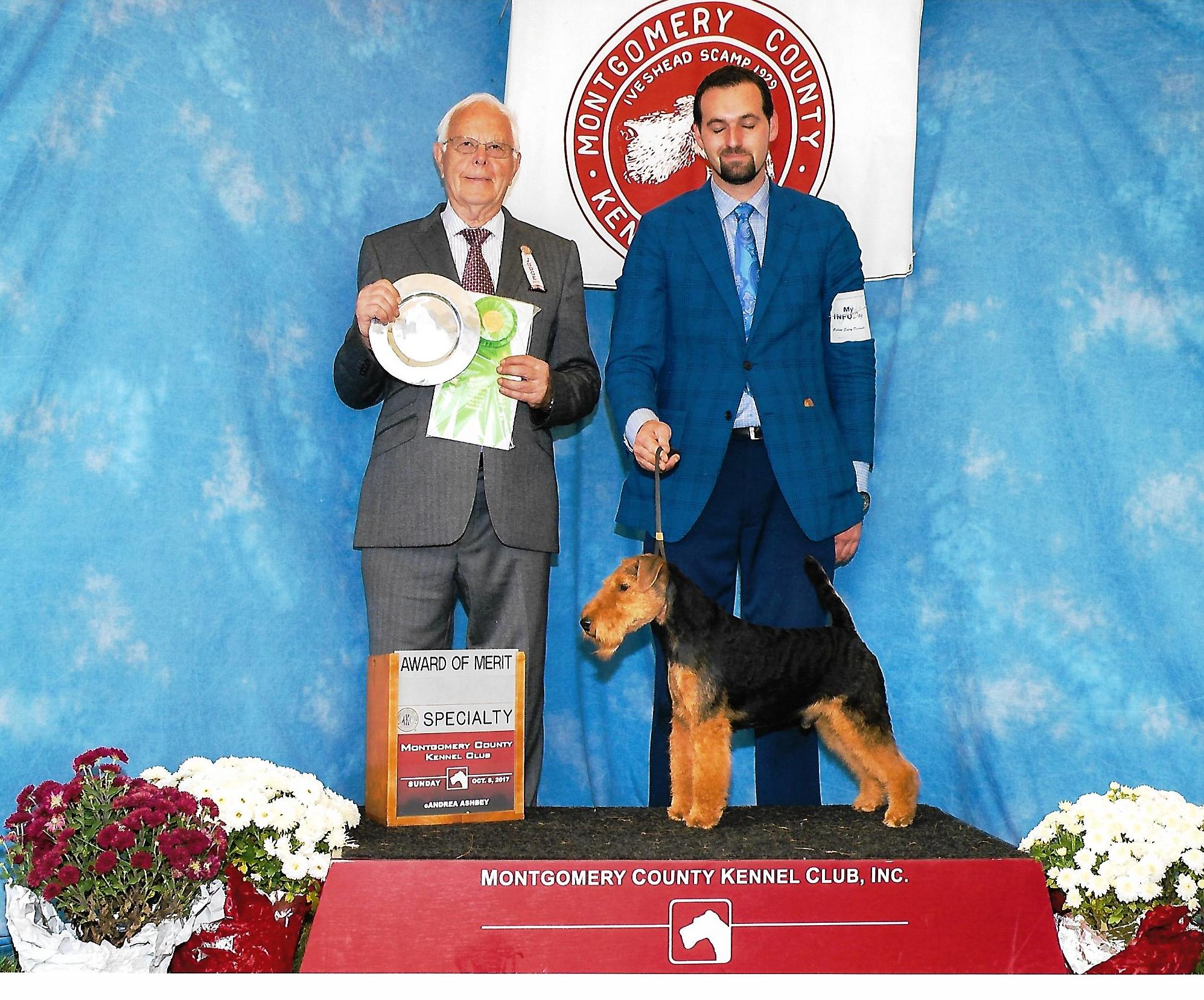 Seaplume Welsh Terriers