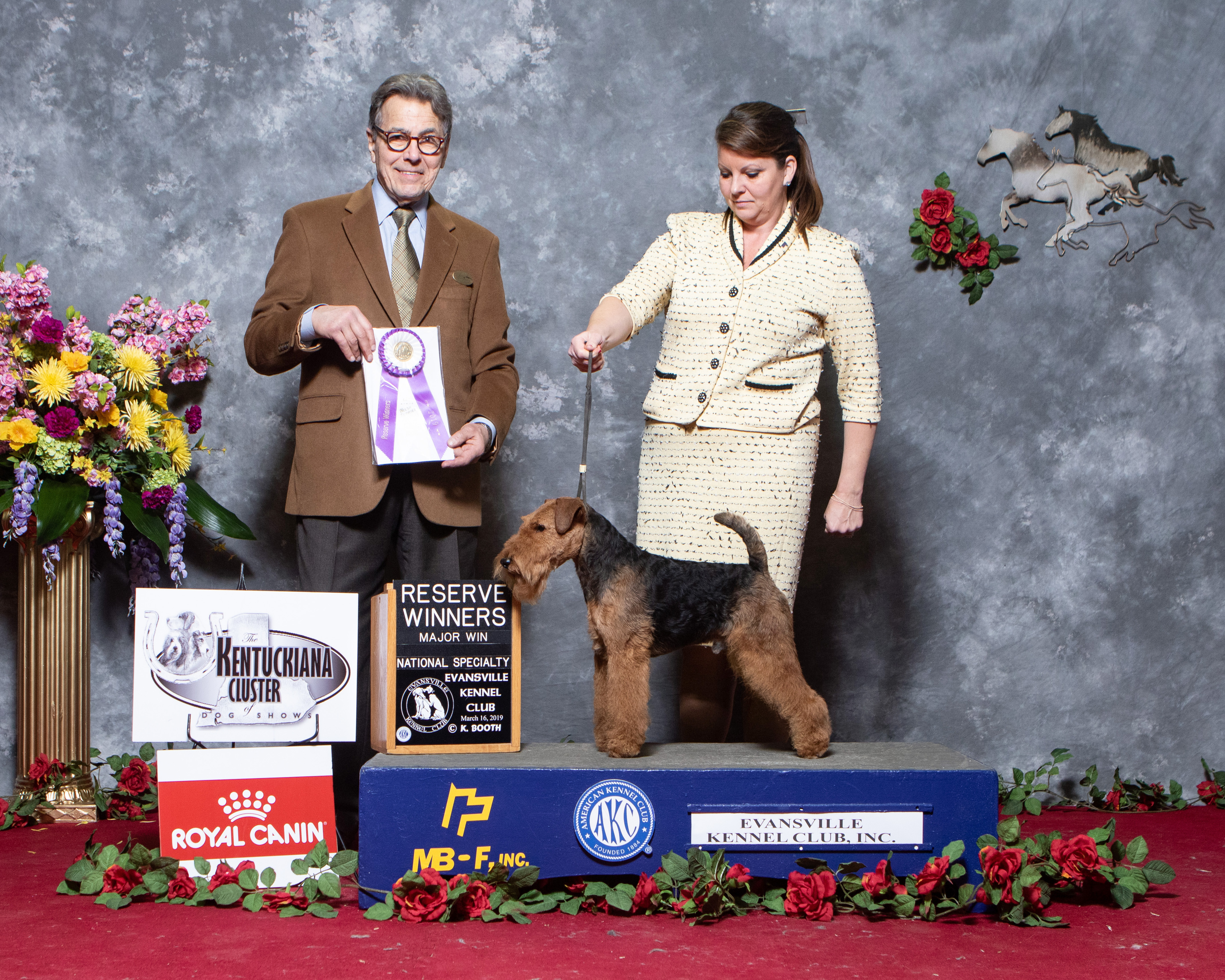 Seaplume Welsh Terriers