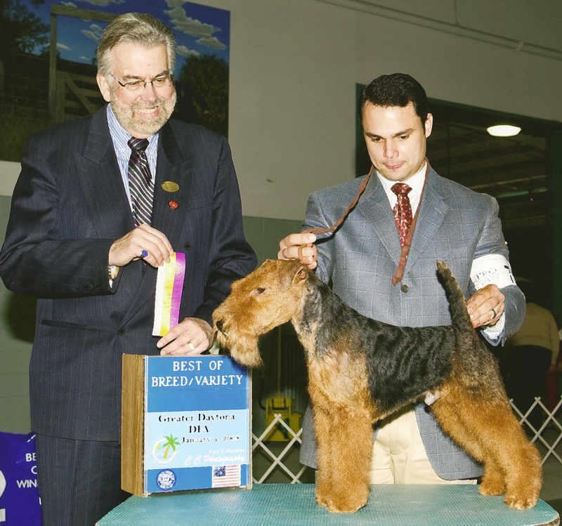 Seaplume Welsh Terriers