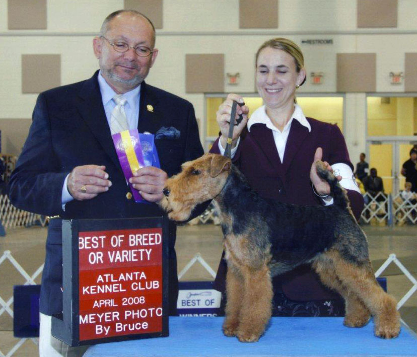 Seaplume Welsh Terriers