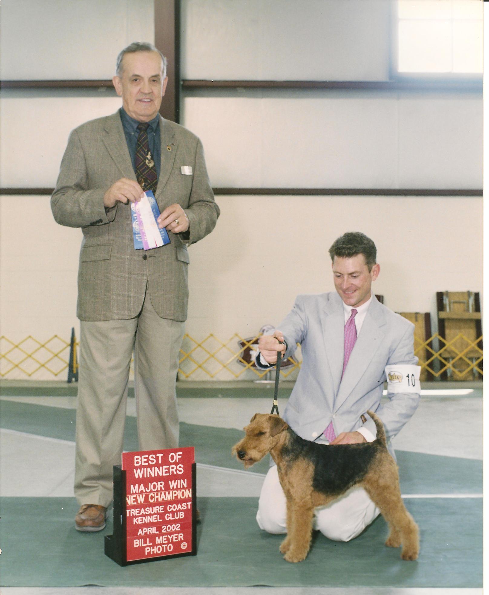 Welsh Terriers