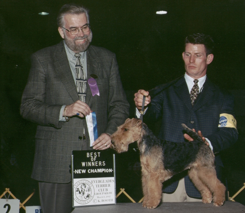 Welsh Terriers